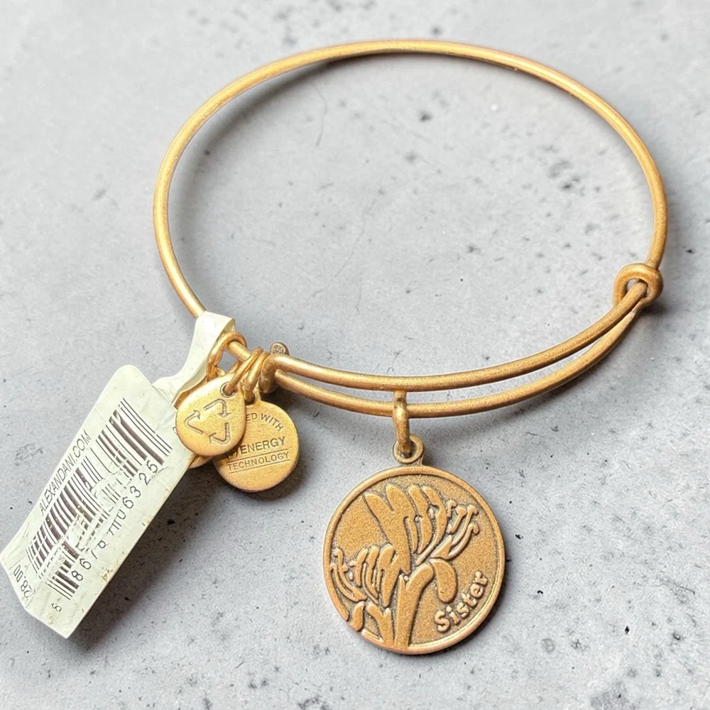 Alex and Ani “Because I Love‎ You Sister” Rafaelian Gold Expandable Charm Bangle